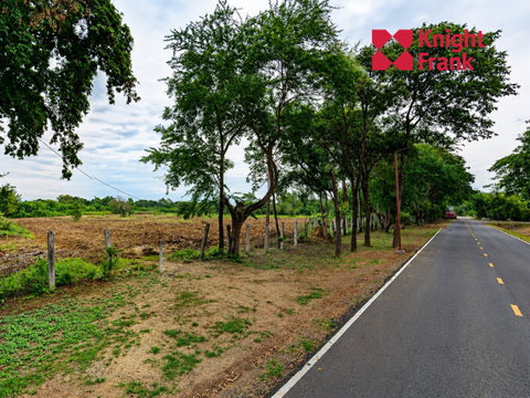 ขายที่ดิน 25 ไร่ ใกล้แม่น้ำมูล อำเภอพิมาย จังหวัดนครราชสีมา