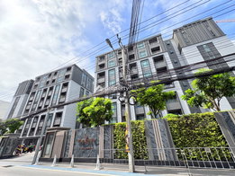 Project Maestro 19 Ratchada 19 - Vipha Picture - 2/18