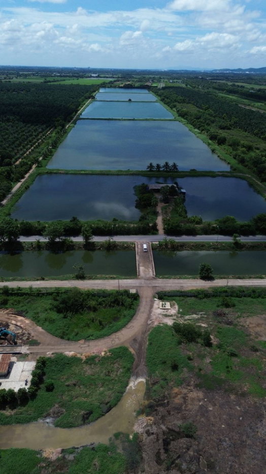 รูป ขายที่ดิน 250 ไร่ ตำบลหนองหมู อำเภอวิหารแดง จังหวัดสระบุรี ที่ดินแปลงใหญ่ เหมาะทำการเกษตรและลงทุน - รูปที่ 6/13