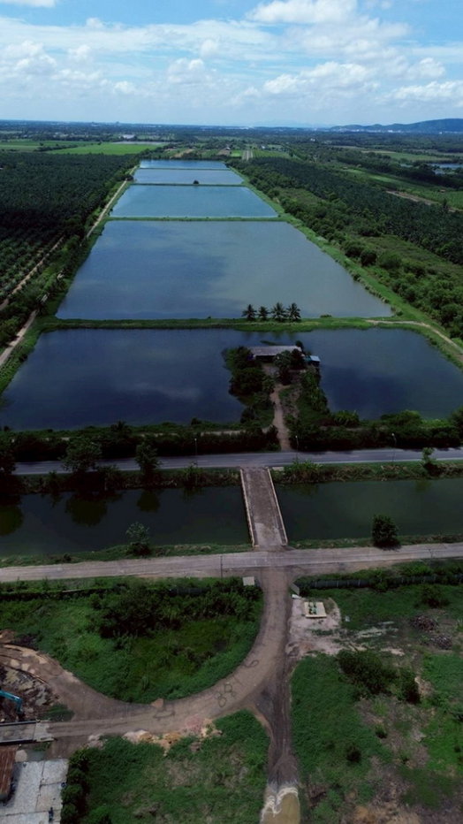 รูป ขายที่ดิน 250 ไร่ ตำบลหนองหมู อำเภอวิหารแดง จังหวัดสระบุรี ที่ดินแปลงใหญ่ เหมาะทำการเกษตรและลงทุน - รูปที่ 7/13