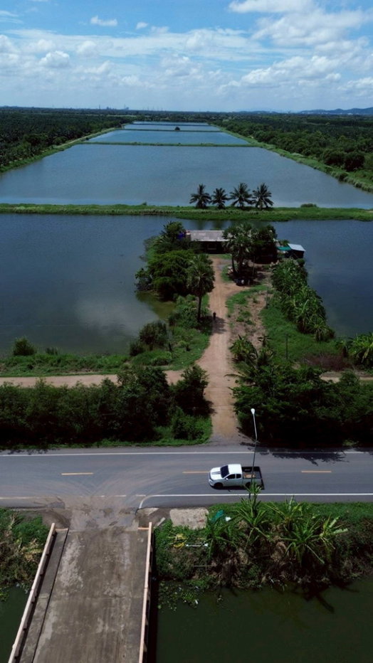 รูป ขายที่ดิน 250 ไร่ ตำบลหนองหมู อำเภอวิหารแดง จังหวัดสระบุรี ที่ดินแปลงใหญ่ เหมาะทำการเกษตรและลงทุน - รูปที่ 8/13