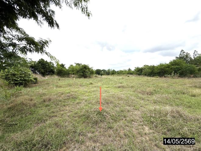 picture LAND 6315 Sq.w. Phra Yun Khon Kaen for 7.5M - 5/18