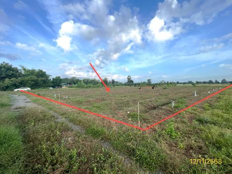 รูป ที่ดินว่างเปล่า 2473 ตร.วา เลาขวัญ กาญจนบุรี 1.5M - รูปที่ 15/18