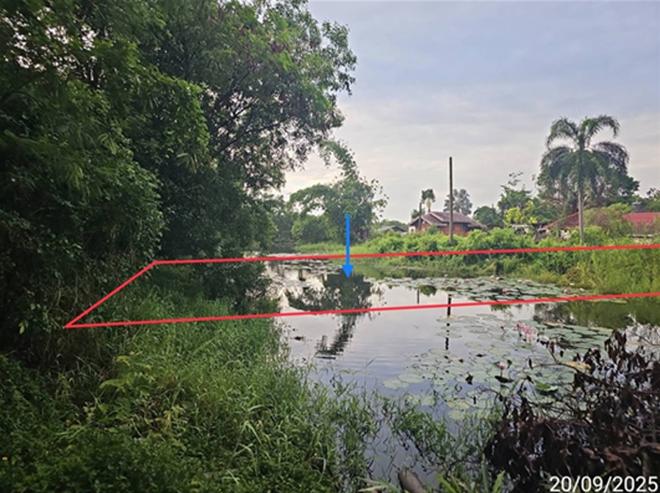 รูป บ้านเดี่ยว 400 ตร.วา เมืองพิษณุโลก พิษณุโลก 1M - รูปที่ 2/14