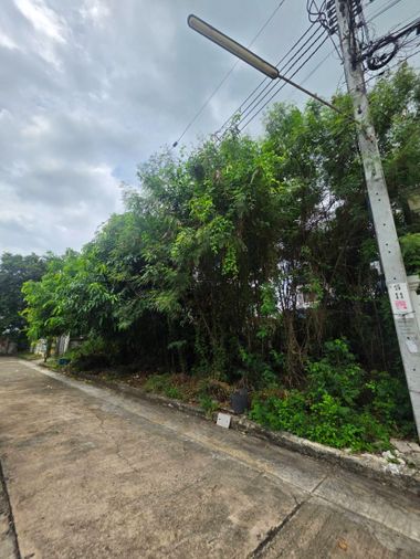 ขายที่ดิน 71 ตร.ว. เขตทวีวัฒนา