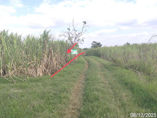 picture LAND 2743 Sq.w. Kaeng Sanam Nang Nakhon Ratchasima for 686,000 - 3/16