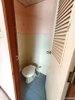 listing thumbnail image 22