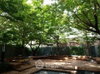 listing thumbnail image 12