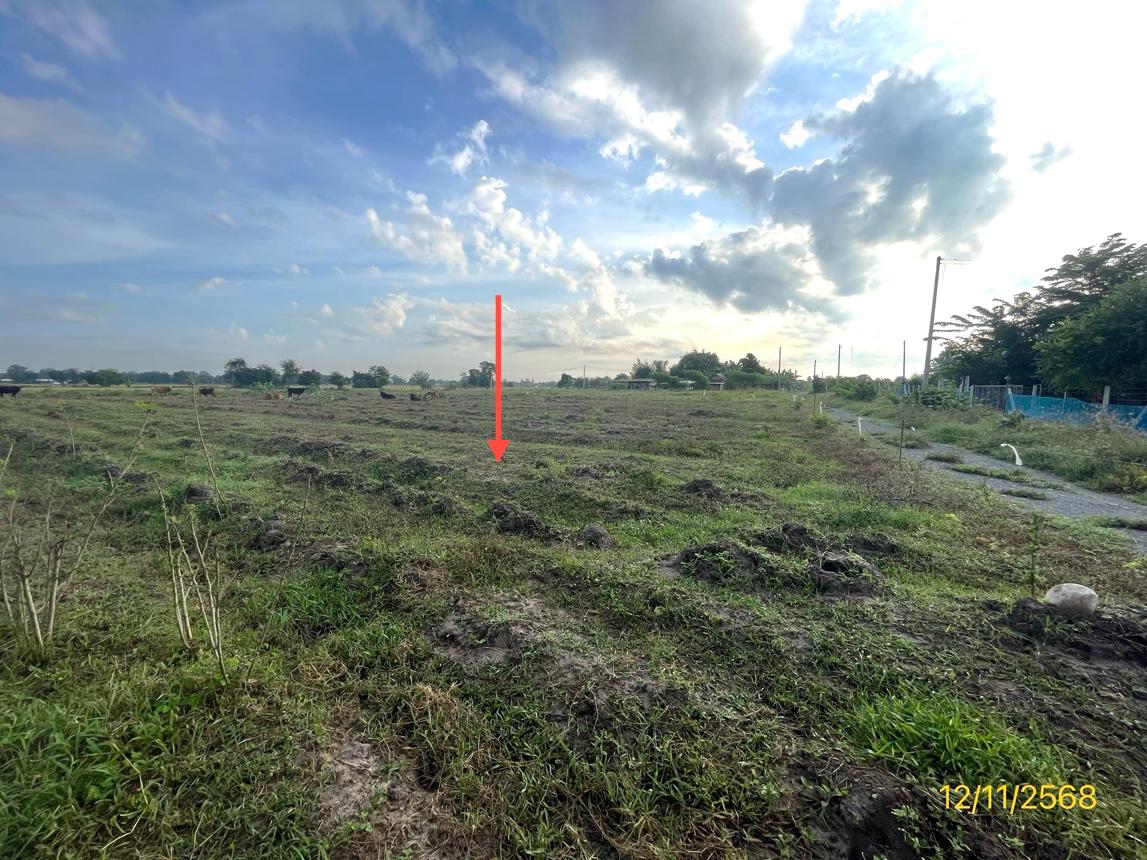 รูป ที่ดินว่างเปล่า 2473 ตร.วา เลาขวัญ กาญจนบุรี 1.5M - รูปที่ 10/18