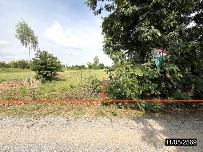 picture LAND 2621.3 Sq.w. Phon Khon Kaen for 1.1M - 1/16