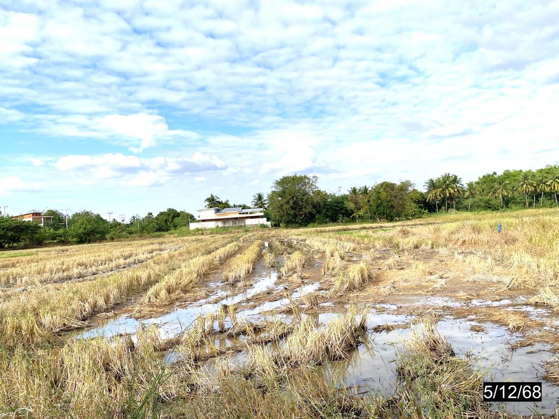รูป ที่ดินว่างเปล่า 880 ตร.วา เมืองกาฬสินธุ์ กาฬสินธุ์ 836,000 - รูปที่ 10/14