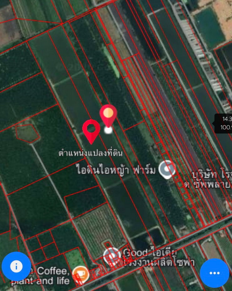 รูป ขายที่ดิน 250 ไร่ ตำบลหนองหมู อำเภอวิหารแดง จังหวัดสระบุรี ที่ดินแปลงใหญ่ เหมาะทำการเกษตรและลงทุน - รูปที่ 10/13