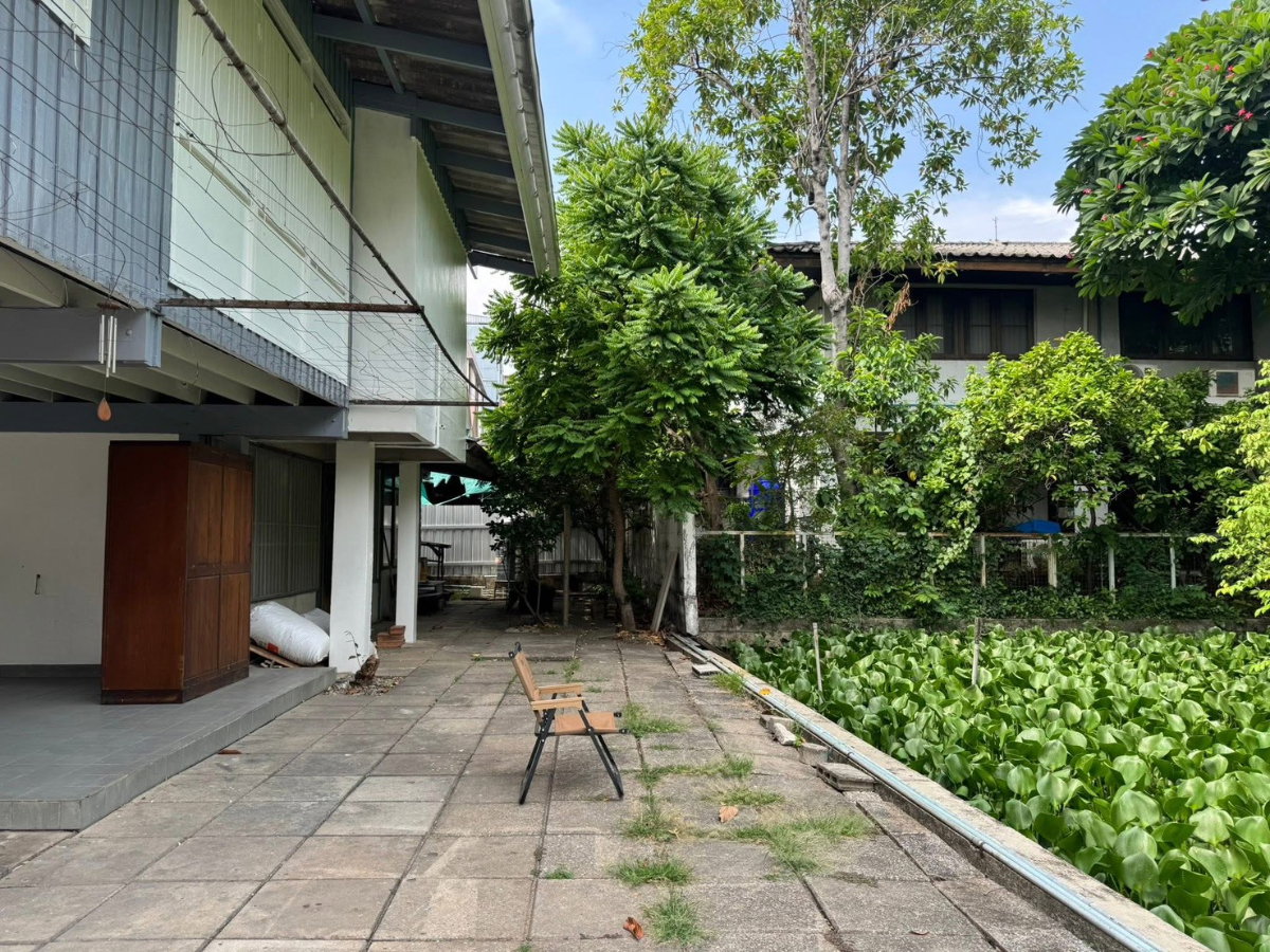รูป 🏡 บ้านเดี่ยวให้เช่า ซอยศาสนา 2 ใกล้กระทรวงการคลัง พระราม 6 3 ห้องนอน 3 ห้องน้ำ ใจกลางเมือง บรรยากาศร่มรื่น ติดน้ำ เป็นส่วนตัว 🐶🐱 รับสัตว์เลี้ยง - รูปที่ 2/5