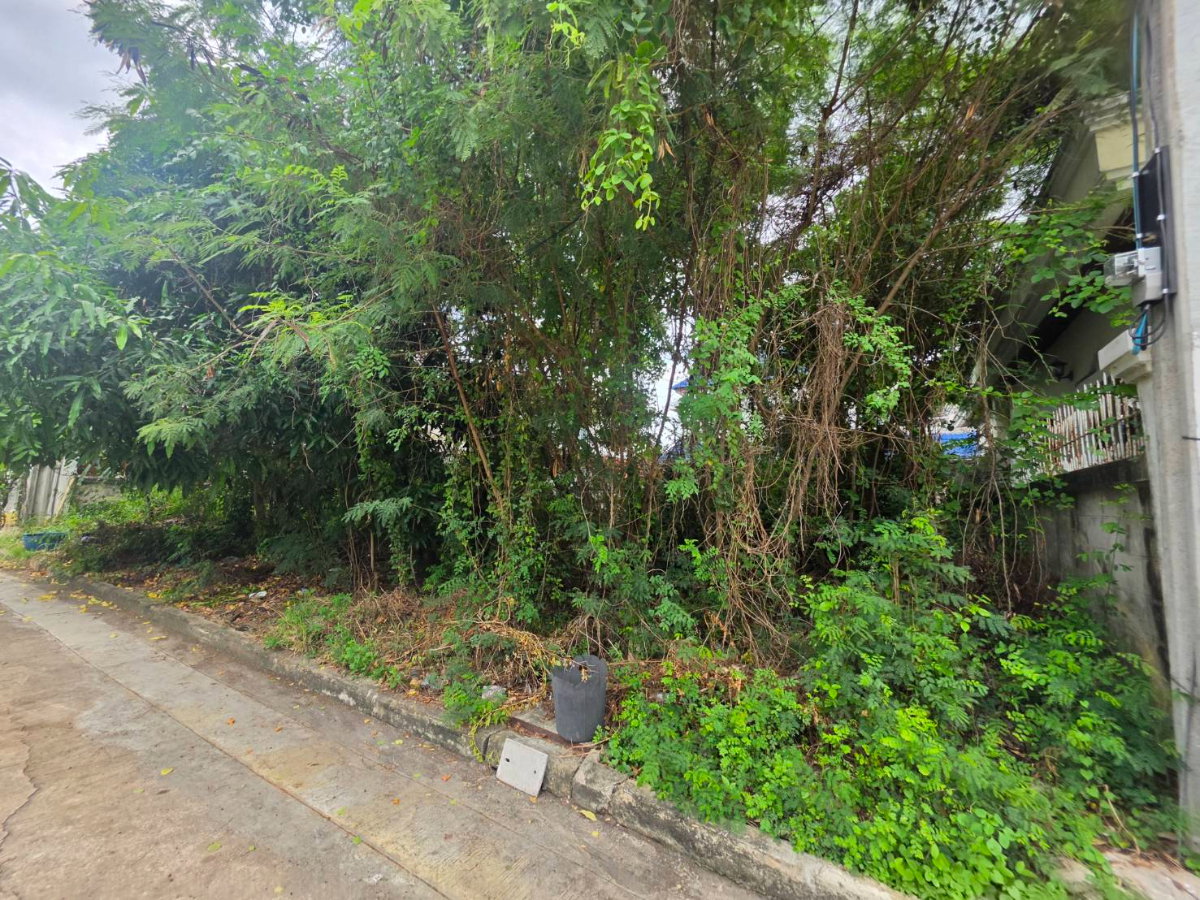 รูป sss552 ขายที่ดิน หมุ่บ้าน กฤษดากร 18 ถนนพุทธมณฑลสาย 3 - รูปที่ 1/12