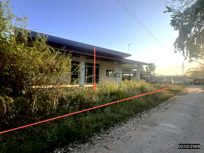 บ้านเดี่ยว ขอนแก่น : บ้านเดี่ยว 100 ตร.วา พระยืน ขอนแก่น 1.3M