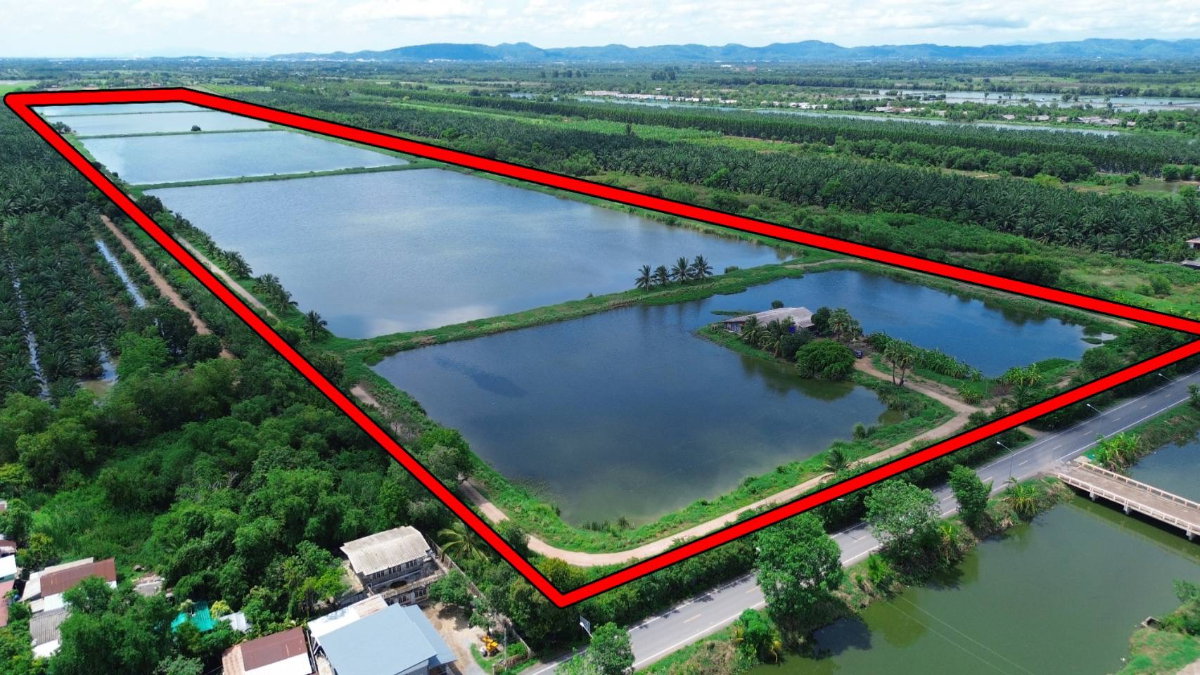 รูป ขายที่ดิน 250 ไร่ ตำบลหนองหมู อำเภอวิหารแดง จังหวัดสระบุรี ที่ดินแปลงใหญ่ เหมาะทำการเกษตรและลงทุน - รูปที่ 2/13