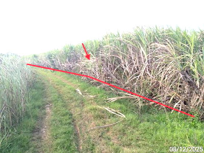 Land for sale Kaeng Sanam Nang Nakhon Ratchasima : LAND 2743 Sq.w. Kaeng Sanam Nang Nakhon Ratchasima for 686,000