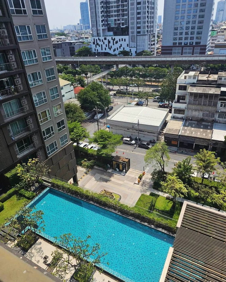 รูป  Hive Taksin  (สนใจ @ไลน์ : js.aileen ) - รูปที่ 5/9