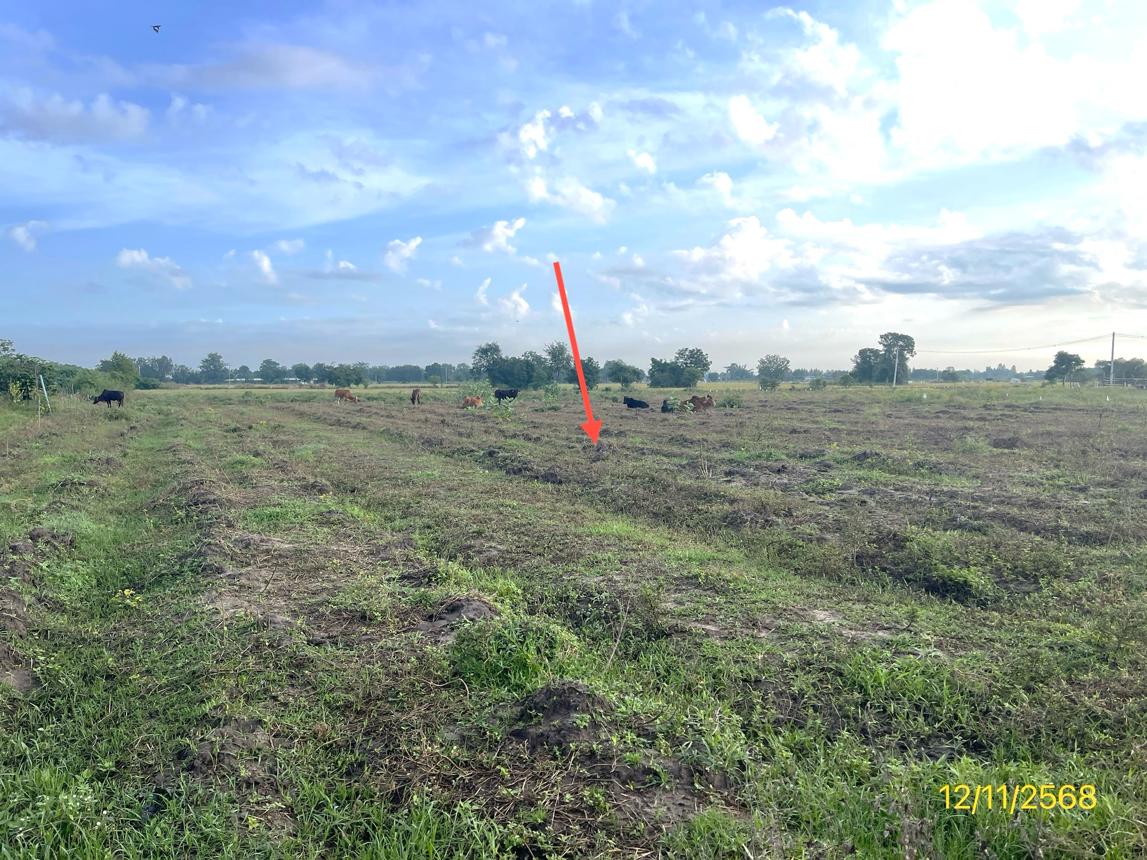 รูป ที่ดินว่างเปล่า 2473 ตร.วา เลาขวัญ กาญจนบุรี 1.5M - รูปที่ 11/18