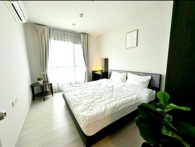 Condos for rent : Life Sukhumvit 48 (BTS Phra Khanong)