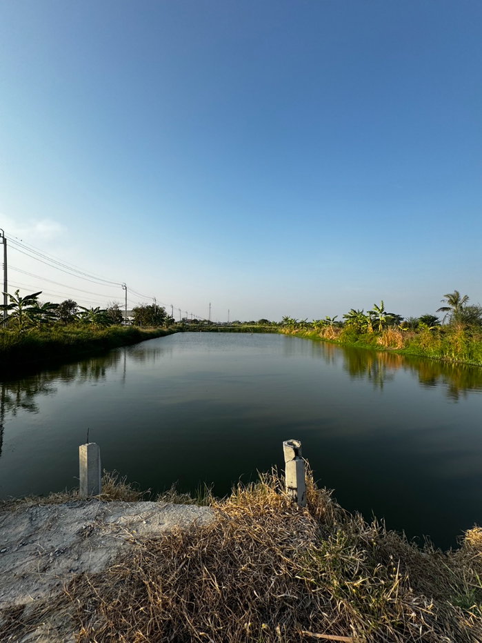 รูป 🛣️ ทำเลทองลาดกระบัง! ขายที่ดินสวย 2 ไร่ 56 ตร.ว. ติดถนนใหญ่ 4 เลนตัดใหม่ ใกล้วัดสุทธโภชน์ ทับยาว ✨ - รูปที่ 7/7
