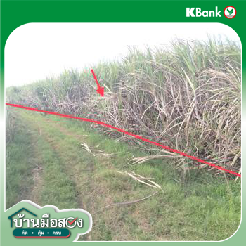picture LAND 2743 Sq.w. Kaeng Sanam Nang Nakhon Ratchasima for 686,000 - 14/16