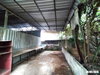 listing thumbnail image 32