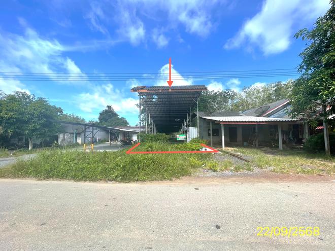 รูป เพิงอเนกประสงค์ 59 ตร.วา ละงู สตูล 473,000 - รูปที่ 1/20