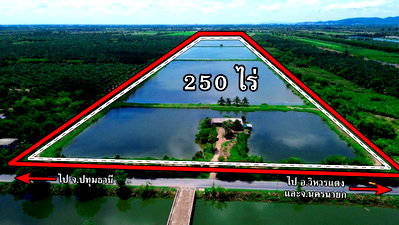 ที่ดิน วิหารแดง สระบุรี : ขายที่ดิน 250 ไร่ ตำบลหนองหมู อำเภอวิหารแดง จังหวัดสระบุรี ที่ดินแปลงใหญ่ เหมาะทำการเกษตรและลงทุน