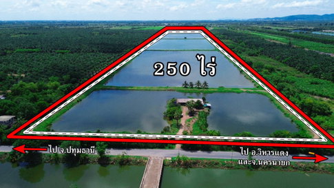 ขายที่ดิน 250 ไร่ ตำบลหนองหมู อำเภอวิหารแดง จังหวัดสระบุรี ที่ดินแปลงใหญ่ เหมาะทำการเกษตรและลงทุน