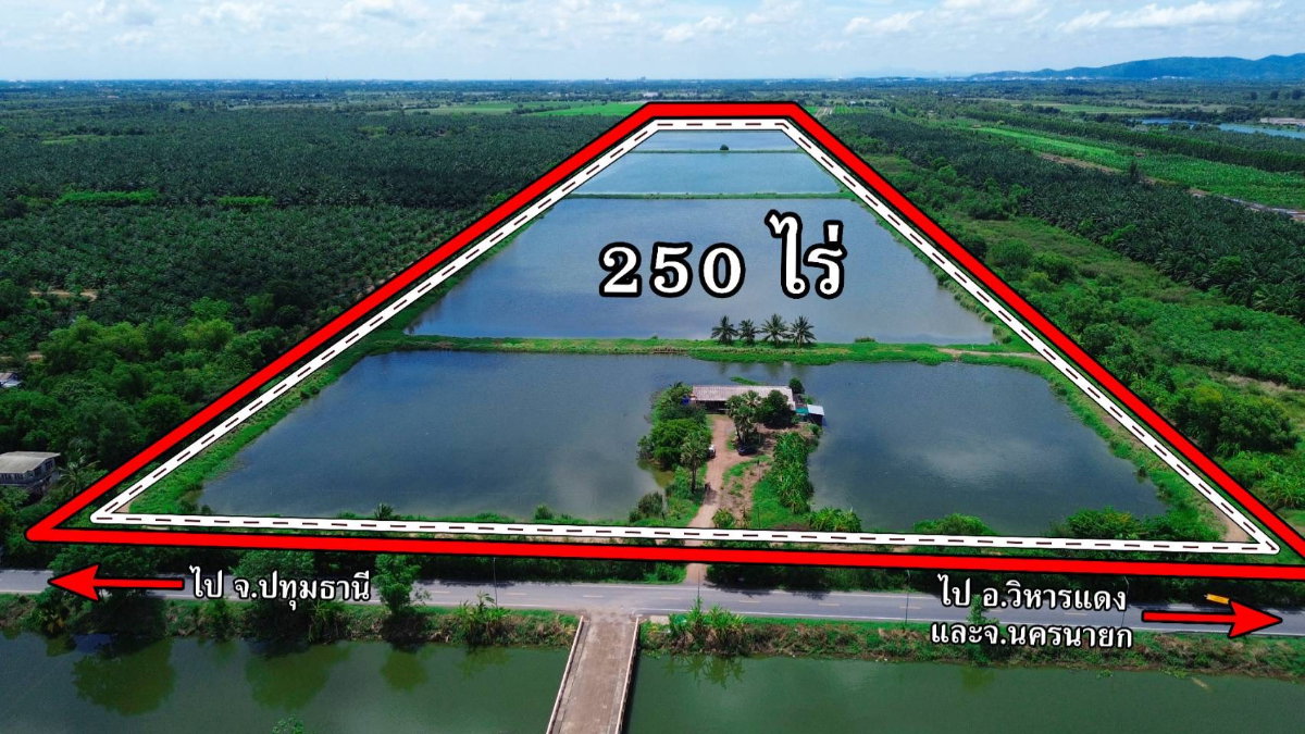 รูป ขายที่ดิน 250 ไร่ ตำบลหนองหมู อำเภอวิหารแดง จังหวัดสระบุรี ที่ดินแปลงใหญ่ เหมาะทำการเกษตรและลงทุน - รูปที่ 1/13