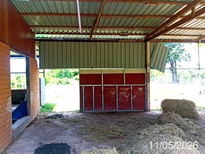 รูป บ้านเดี่ยว 1600 ตร.วา ศรีวิไล บึงกาฬ 3.7M - รูปที่ 5/24