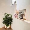 listing thumbnail image 10