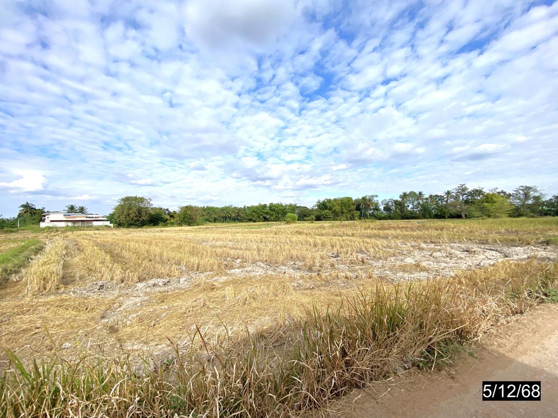 รูป ที่ดินว่างเปล่า 880 ตร.วา เมืองกาฬสินธุ์ กาฬสินธุ์ 836,000 - รูปที่ 9/14