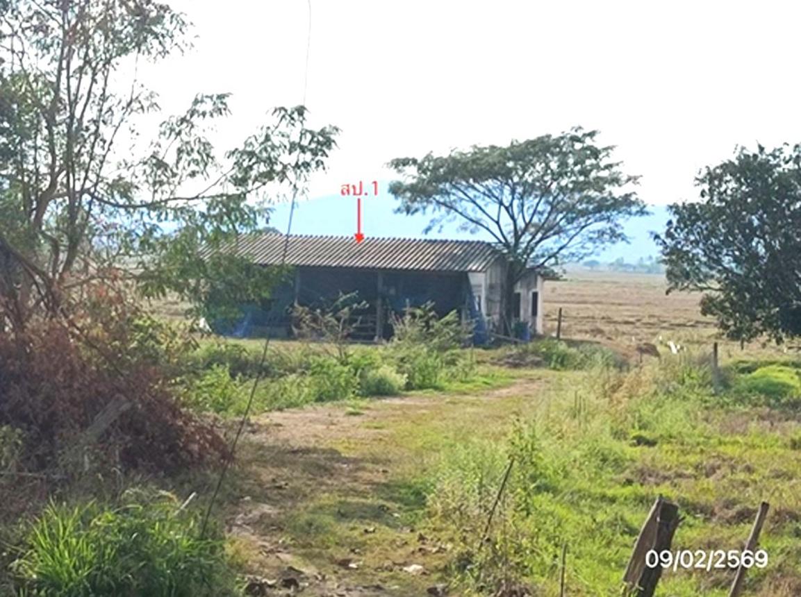 picture FACTORY 3633 Sq.w. Dok Kham Tai Phayao for 5.8M - 6/14