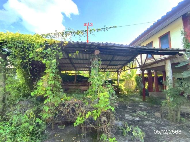 รูป บ้านเดี่ยว 161 ตร.วา จุน พะเยา 1.9M - รูปที่ 9/26