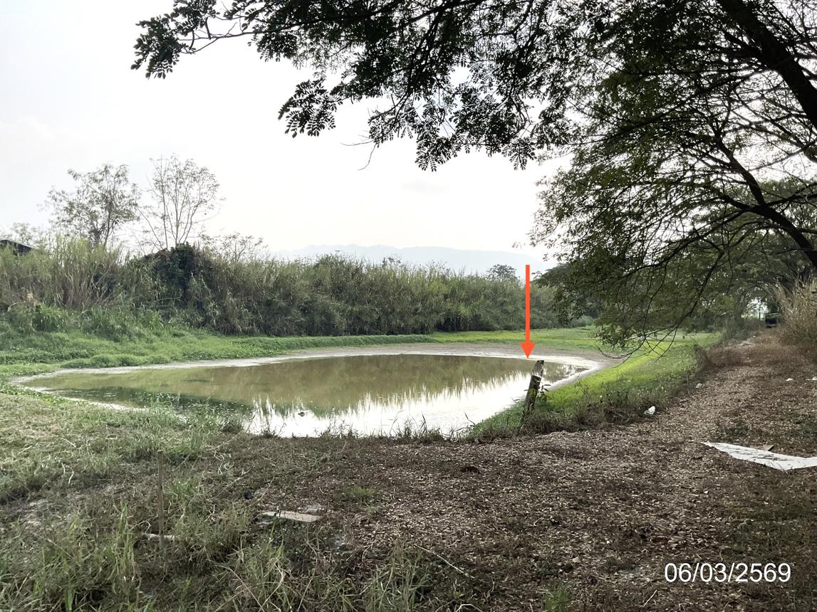 รูป โกดัง 5952 ตร.วา พาน เชียงราย 28.2M - รูปที่ 34/38