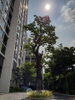 listing thumbnail image 11