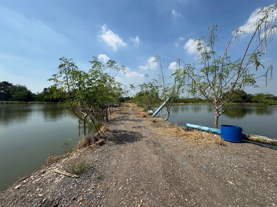 รูป ขายที่ดินเปล่า 18 ไร่ นครปฐม ห่างจากศาลากลางจังหวัดนครปฐม 3.5 กม. - รูปที่ 7/10