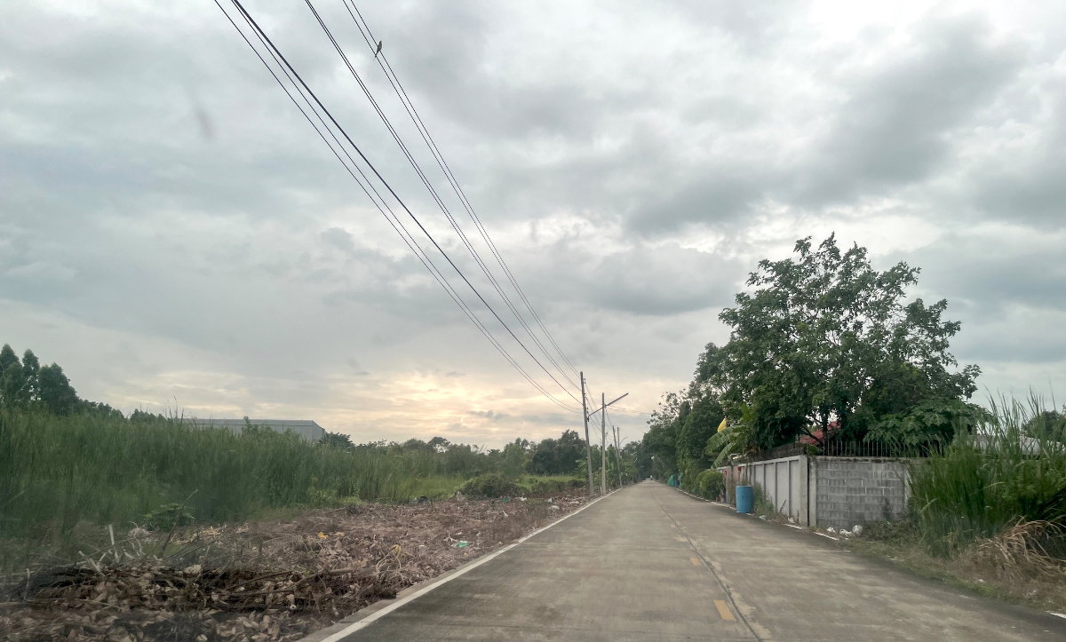 รูป ขายที่ดิน 1 ไร่ คลอง 10 หนองเสือ ปทุมธานี - รูปที่ 11/13