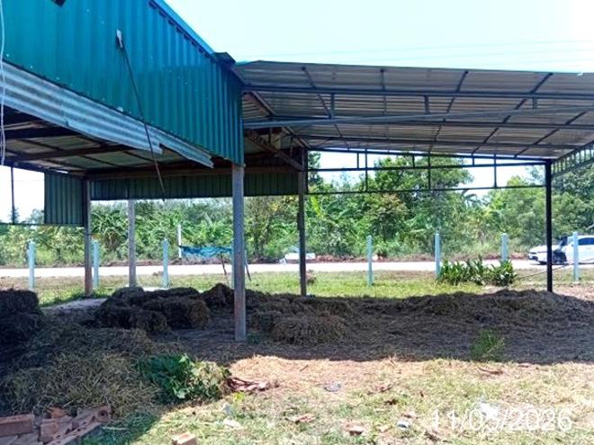 รูป บ้านเดี่ยว 1600 ตร.วา ศรีวิไล บึงกาฬ 3.7M - รูปที่ 3/24