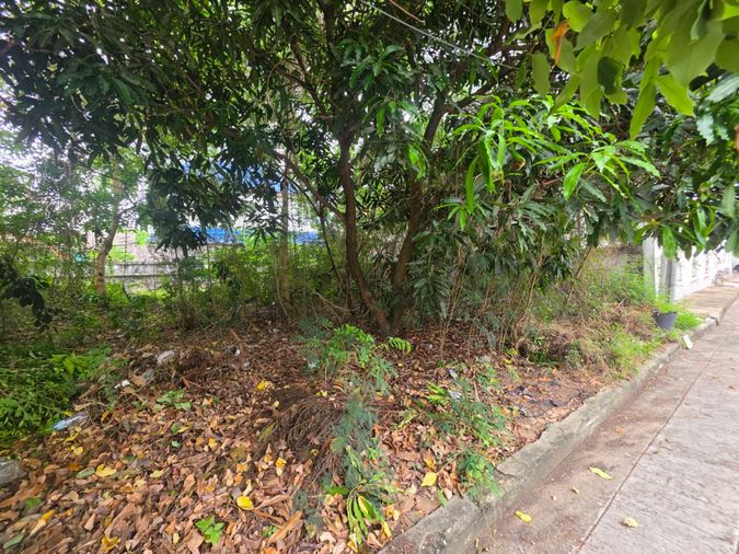 ขายที่ดิน 71 ตร.ว. เขตทวีวัฒนา