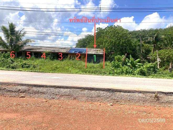 picture SHOP HOUSE 24.6 Sq.w. Phanom Surat Thani for 325,000 - 1/22