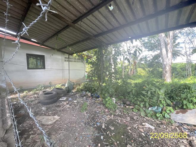 รูป เพิงอเนกประสงค์ 59 ตร.วา ละงู สตูล 473,000 - รูปที่ 8/20