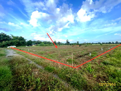 ที่ดิน เลาขวัญ กาญจนบุรี : ที่ดินว่างเปล่า 2473 ตร.วา เลาขวัญ กาญจนบุรี 1.5M