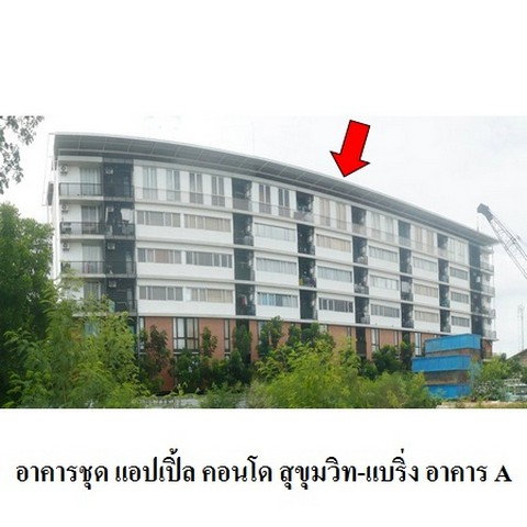 รูป Z3A0530 ขายคอนโด แอปเปิ้ล คอนโด สุขุมวิท-แบริ่ง ชั้นที่ 2 ตำบล สำโรงเหนือ อำเภอ เมืองสมุทรปราการ จังหวัด สมุทรปราการ - รูปที่ 1/8