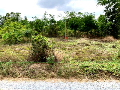 LAND 1600 Sq.w. Nong Ya Sai Suphanburi for 1.6M