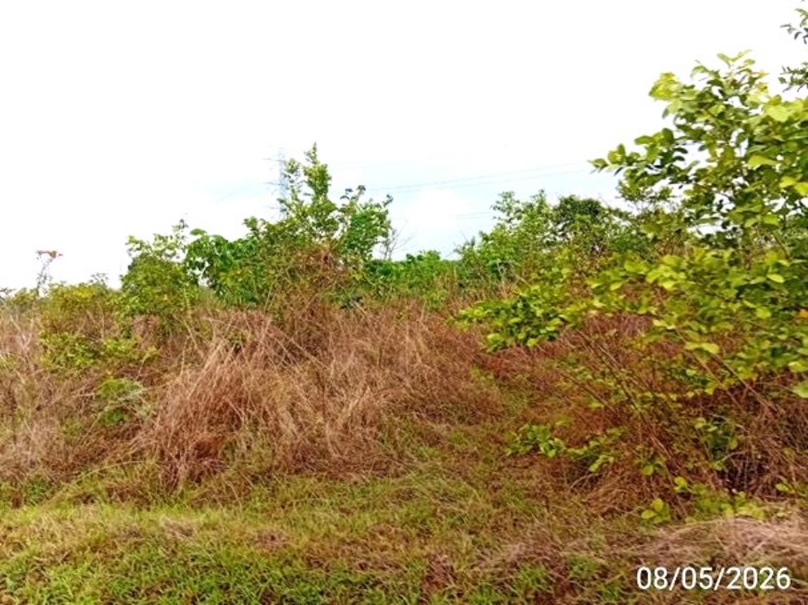 รูป ที่ดินว่างเปล่า 3424 ตร.วา เมืองอุดรธานี อุดรธานี 5.2M - รูปที่ 14/20