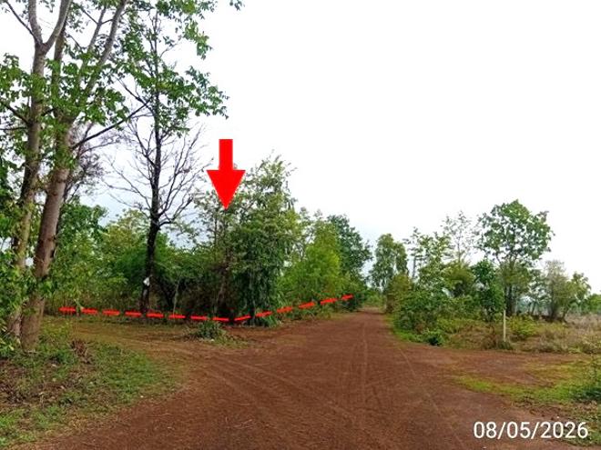รูป ที่ดินว่างเปล่า 3424 ตร.วา เมืองอุดรธานี อุดรธานี 5.2M - รูปที่ 1/20