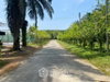 listing thumbnail image 23